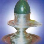 Kumar Bej Profile Picture